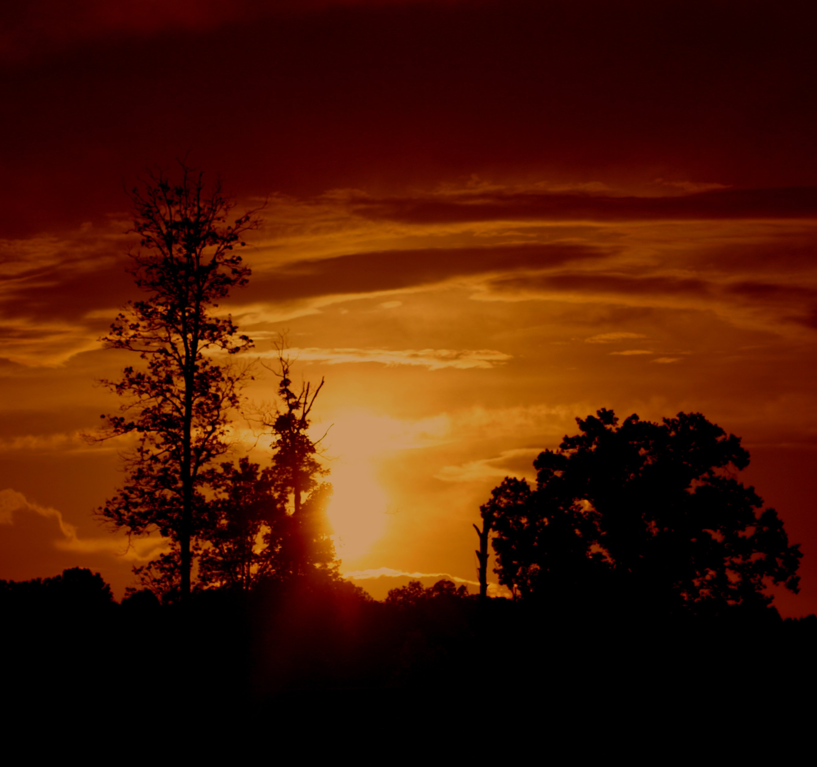 sunset.jpg