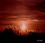 sunset1.jpeg